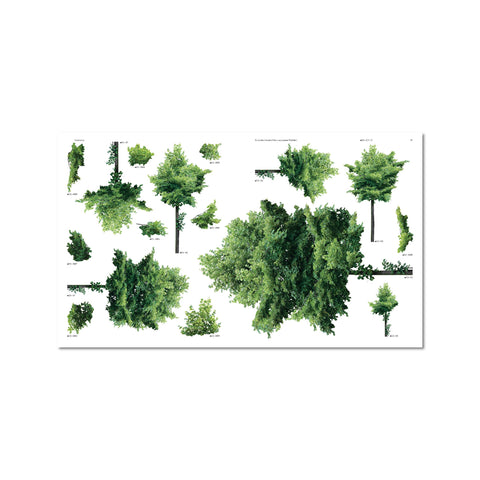 Urban Tree Collection for the Modern Architect & Designer