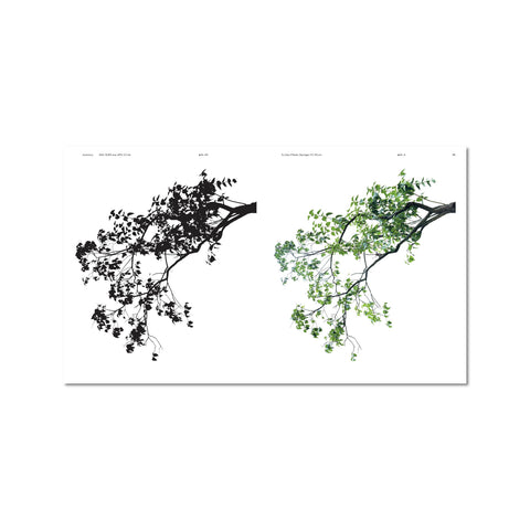 Urban Tree Collection for the Modern Architect & Designer
