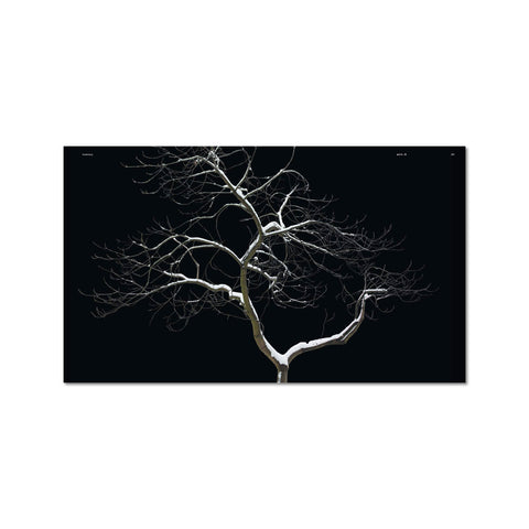 Urban Tree Collection for the Modern Architect & Designer